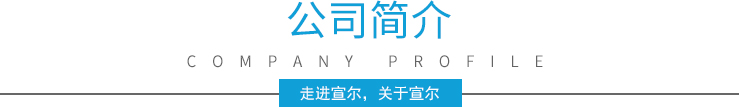 公司簡介 公司簡介